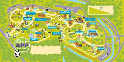 Washington zoo რუკა